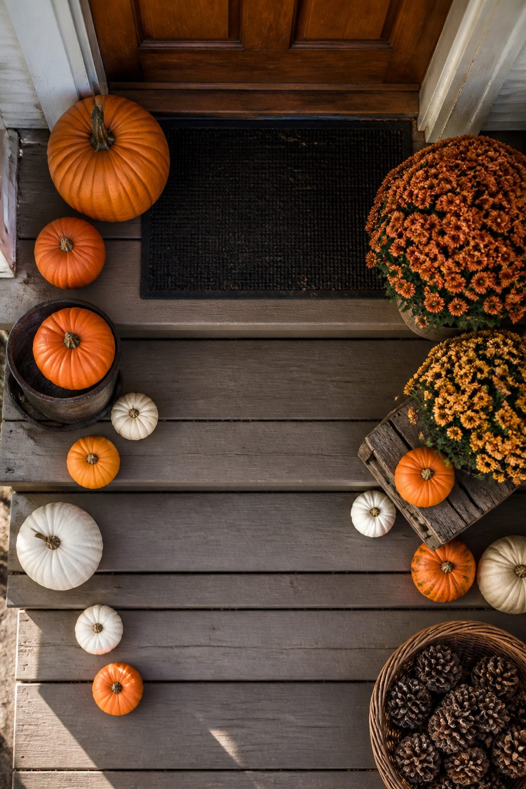 Various pumpkins of different sizes arranged on a porch step.